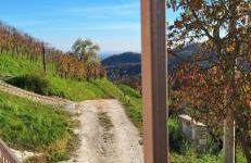 Agriturismo La Pina - Foto 40