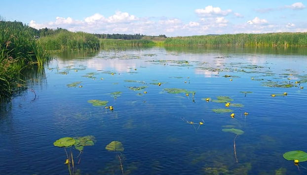 6 Person Holiday Home in Silkeborg-by Traum - Foto 5, Verschiedenes