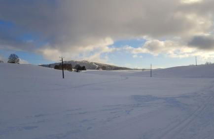 Au Platelet numéro 144 - Foto 6