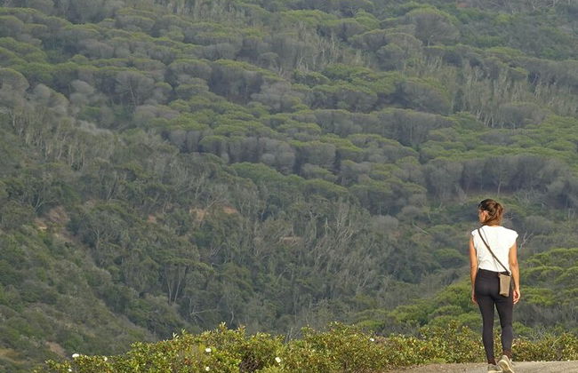 Paseo por la naturaleza de medio día y picnic en la costa oeste del Algarve - Foto 6