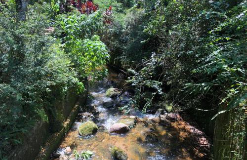 SITIO SIMPLESMENTE DEMAIS - Foto 25