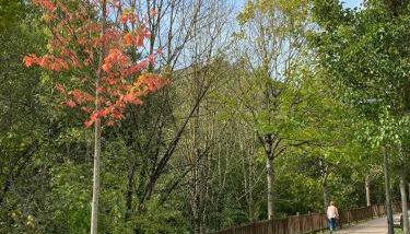 HomeOffice with Church Views - Foto 5