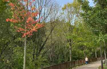 HomeOffice with Church Views - Foto 5