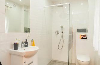 Sowa i Kumple - Foto 2