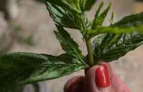 Casa da Nonna Rita - Photo 70