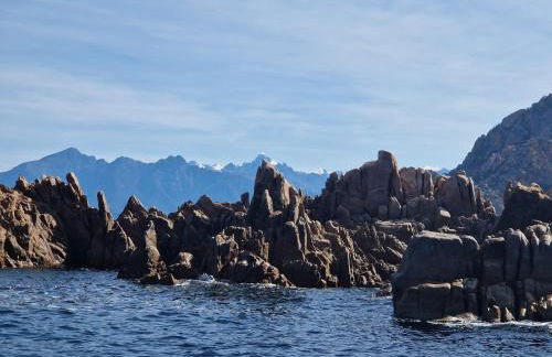 T2 vue mer & montagne Golfe de Porto-Ota - Foto 41