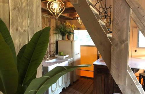 Marabou Safari Lodge - Foto 19