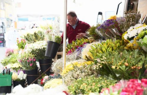 Little Tithe - Photo 25