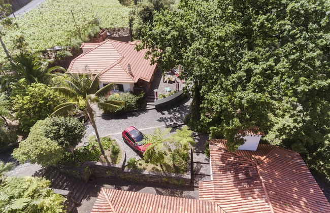 In Laurissilva Forest, Casa do Lanço -carvalho - Foto 53