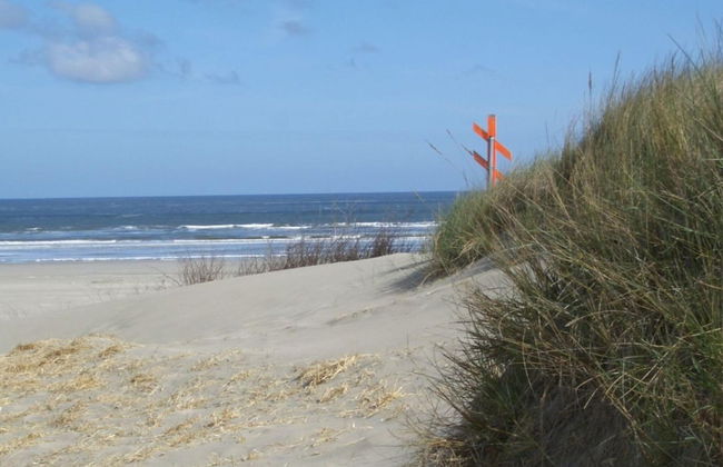 House Flora, Golden Knoepke - Foto 17