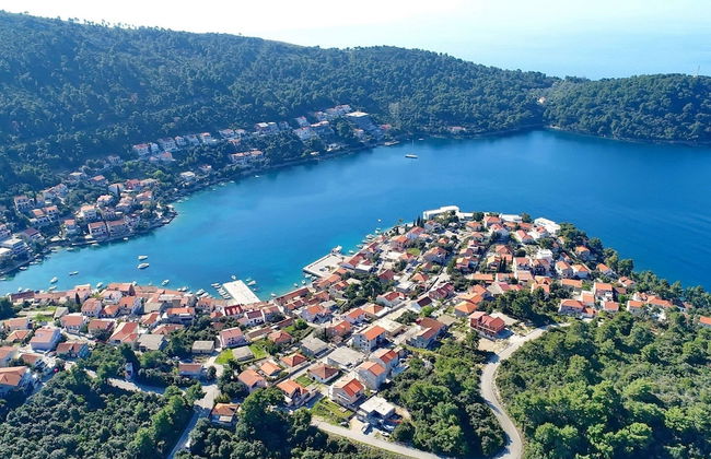 Apartments Peselj-studio Apartment With Balcony and Sea View - Foto 11