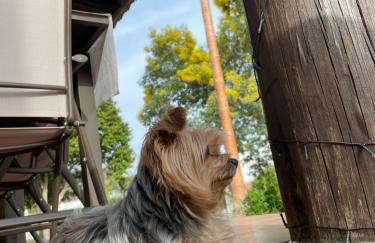 Villa María Lagos del Serrano - Foto 13