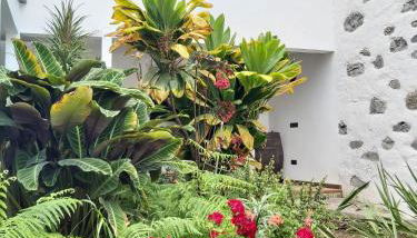 Casa la plaza - Foto 3