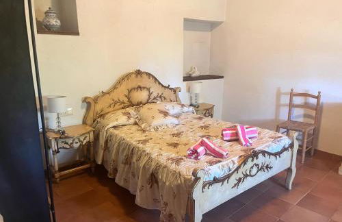 Masia Can Tibau - Photo 31