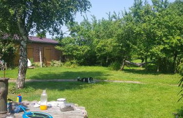 Kleiner Stern - Foto 13