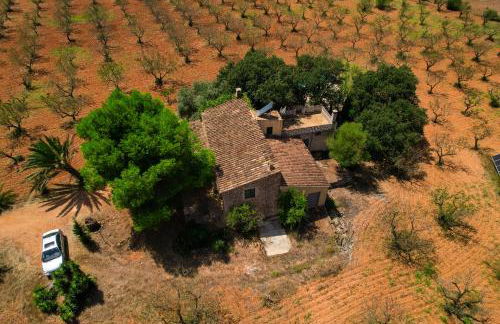 Ca´n Brusquer - Foto 6