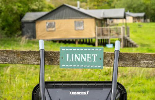 Linnet - Sweffling Hall - Foto 27