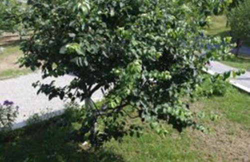 Apartment Goran - Foto 19