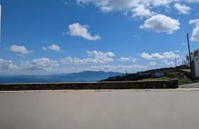 Under The Palm Tree Boutique Studios - Foto 38