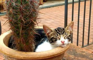 Agriturismo Gli Archi - Foto 70