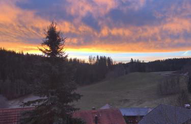 Ferienhaus Rotzinger - Foto 38