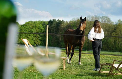 Tiny House Centre équestre - 35 mins de Paris - Foto 10