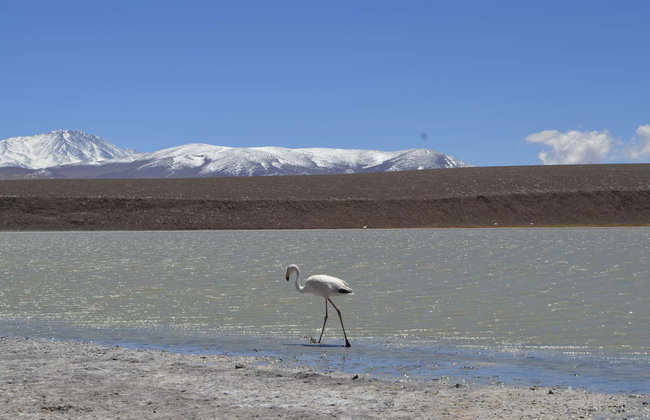 Brava Lagoon Trip - Photo 4