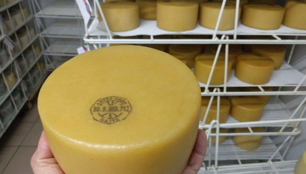 Experiencia única sobre el queso Idiazabal - Tour en grupo reducido - Foto 4