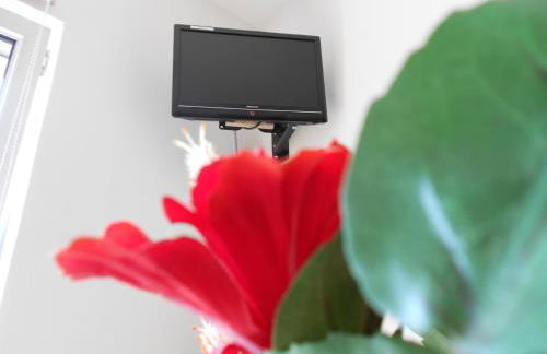 Apartment Beethoven - Foto 15