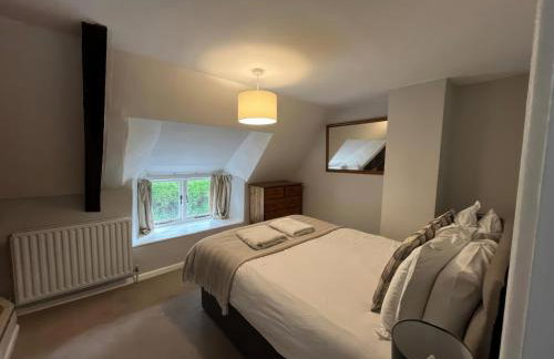 Little Ivy - Photo 11