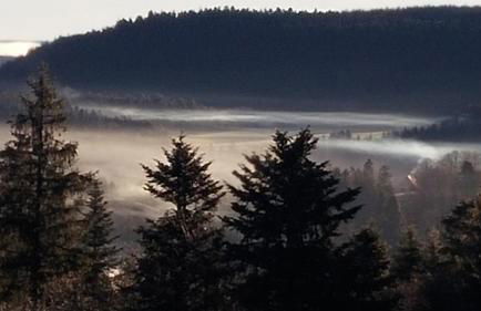 Fewo Fuchs - Foto 36