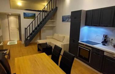 Grand studio avec mezzanine - Foto 1