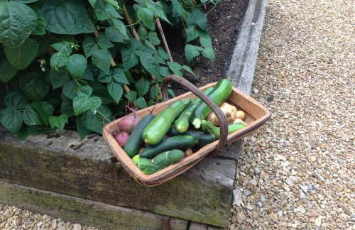 Orchard Cottage, Clematis cottages, Stamford. Accessible luxury home. - Foto 26