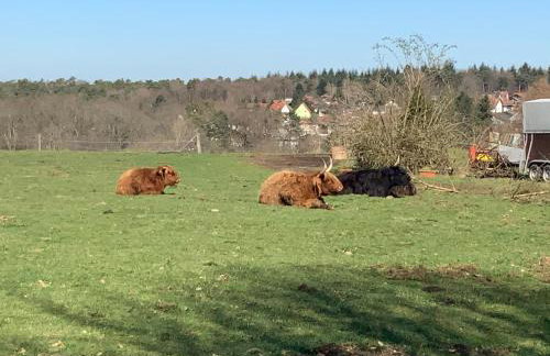 Hen-Coop Inn Appartement mit zwei Schlafzimmern & Netflix - Photo 27
