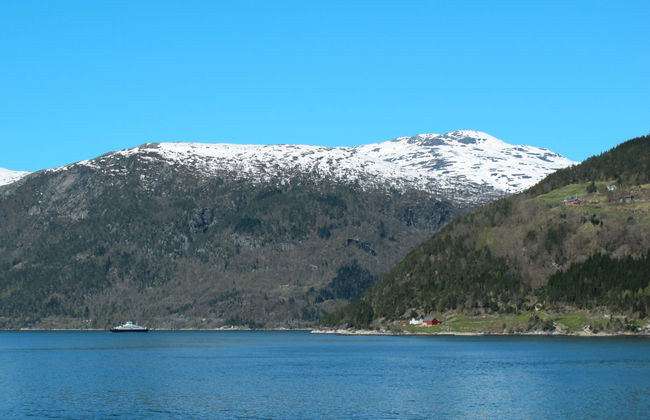 Hardangerrorbu - Foto 5