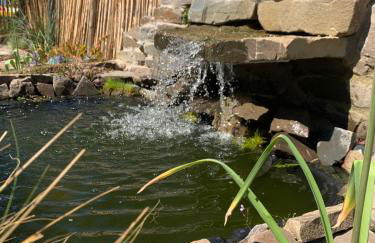 Ferienhaus AhrIdylle - Foto 8