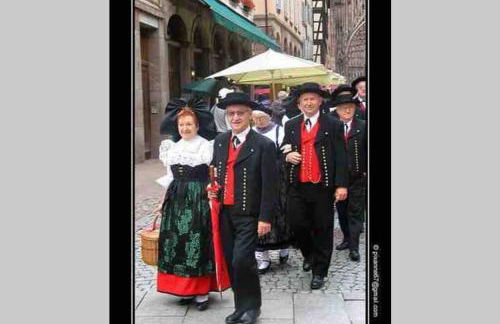 Coeur Alsace - Foto 16