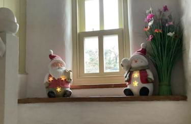 Penrallt-Fach Traditional Welsh cottage Pembrokeshire - Foto 63