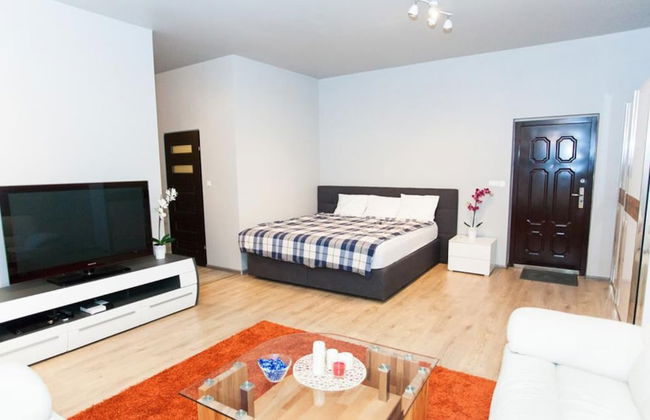 Studio Apartament Centrum Katowice - Photo 20