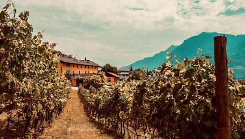 Agriturismo Mas dei Chini - Photo 3