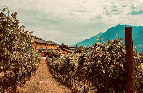 Agriturismo Mas dei Chini - Photo 4