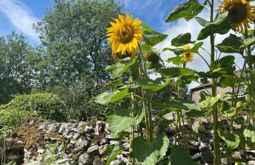 The Dale - Luxurious annexe with stunning view - Foto 20