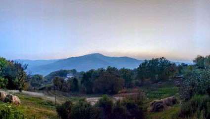 Ca' d'Alfieri - Foto 2