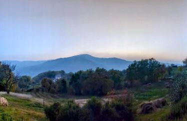 Ca' d'Alfieri - Photo 2