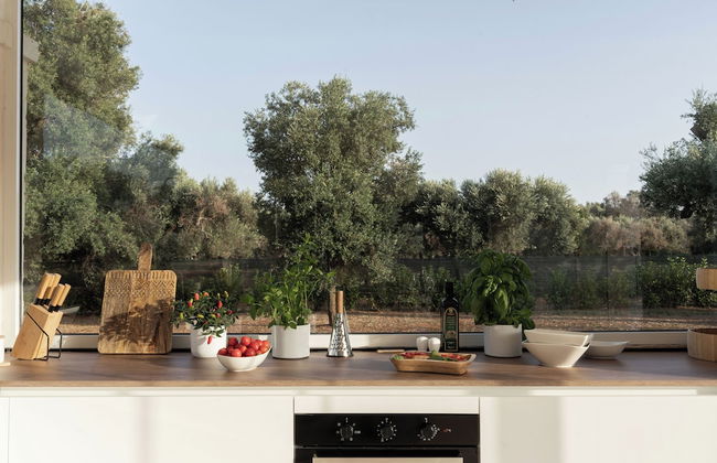 I Trulli del Feudo di San Giacomo - Photo 9