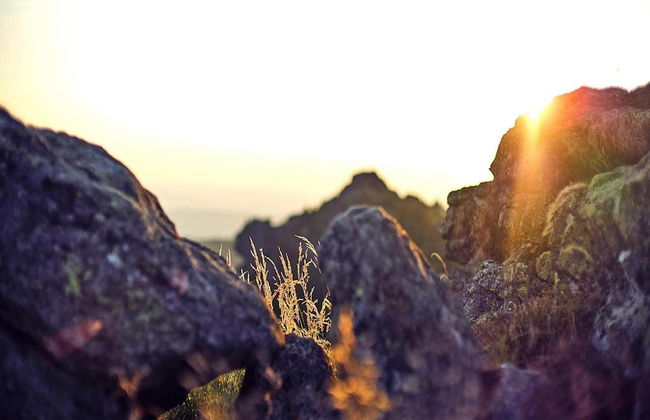 Ferienwohnung in Bodenmais am Grossen Arber - Foto 8