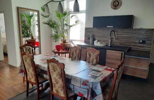 Geschäfts und Ferienwohnung Magdeburg - Foto 17