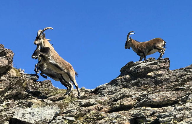 Sierra Nevada Offroading Day Trip - Foto 6