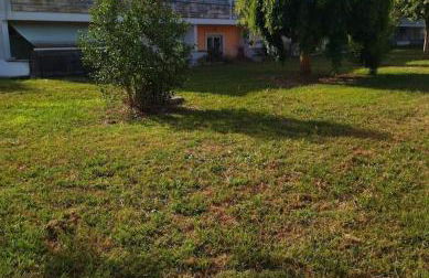 DiMore Apartments - Salento Low Cost - Foto 9