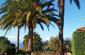 Casa Palmera - Photo 38